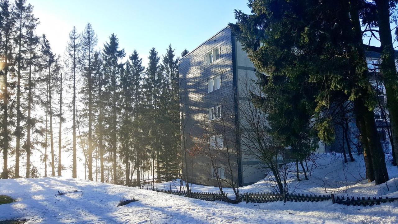 Ferienappartement Winterberg - Bikepark Um Die Ecke المظهر الخارجي الصورة